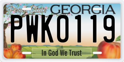 GA license plate PWK0119