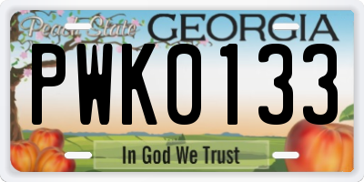 GA license plate PWK0133