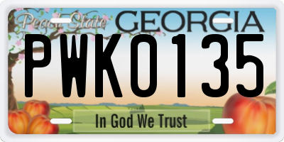 GA license plate PWK0135