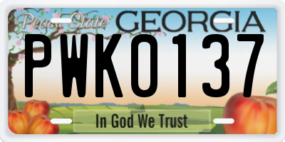 GA license plate PWK0137