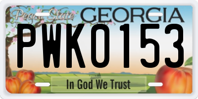 GA license plate PWK0153