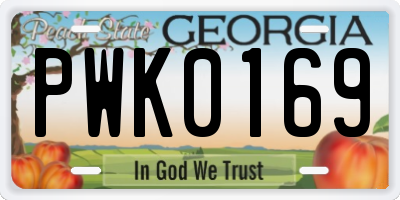 GA license plate PWK0169