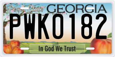 GA license plate PWK0182