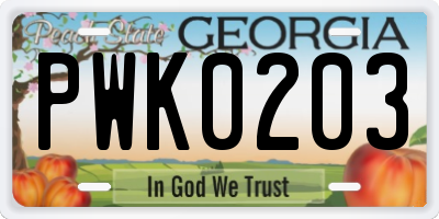 GA license plate PWK0203