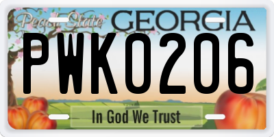 GA license plate PWK0206