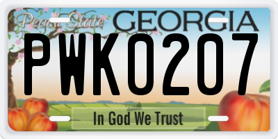 GA license plate PWK0207