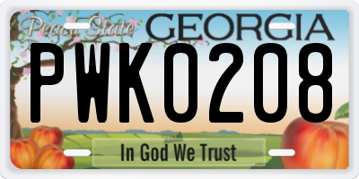GA license plate PWK0208