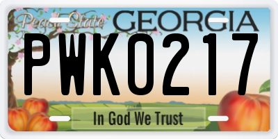 GA license plate PWK0217