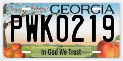 GA license plate PWK0219