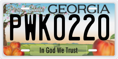 GA license plate PWK0220