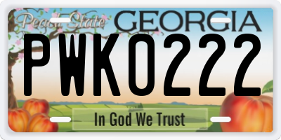 GA license plate PWK0222