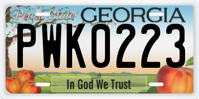 GA license plate PWK0223