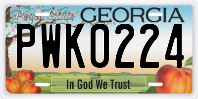 GA license plate PWK0224
