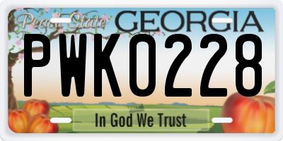 GA license plate PWK0228