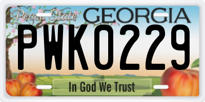 GA license plate PWK0229