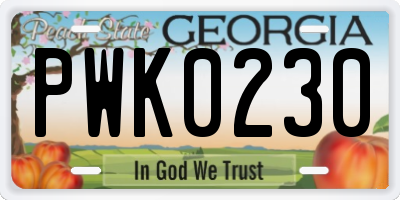 GA license plate PWK0230