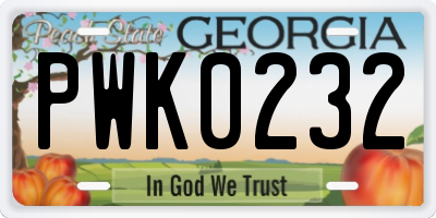 GA license plate PWK0232