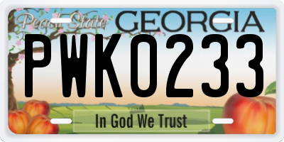 GA license plate PWK0233