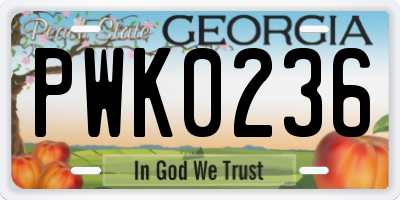 GA license plate PWK0236