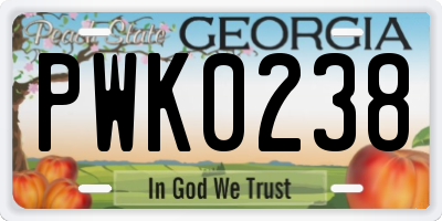 GA license plate PWK0238