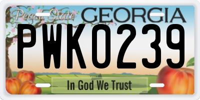 GA license plate PWK0239