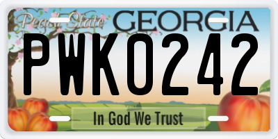 GA license plate PWK0242