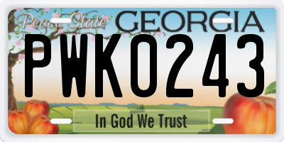 GA license plate PWK0243