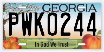 GA license plate PWK0244