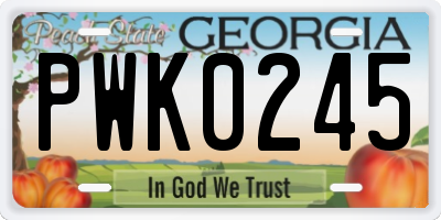 GA license plate PWK0245