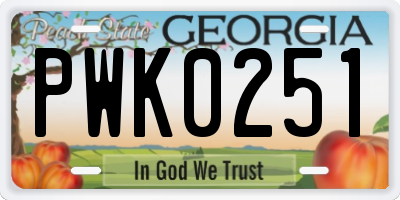 GA license plate PWK0251