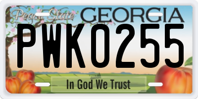 GA license plate PWK0255