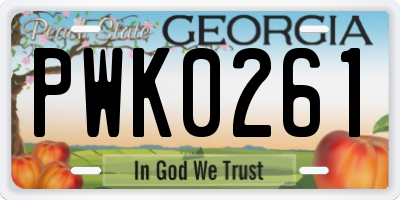 GA license plate PWK0261