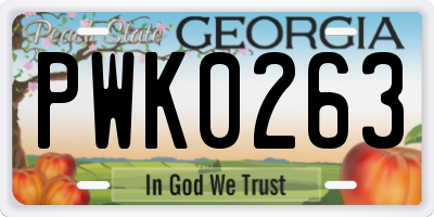 GA license plate PWK0263