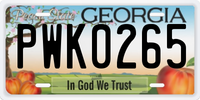 GA license plate PWK0265
