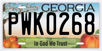 GA license plate PWK0268