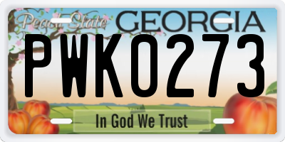 GA license plate PWK0273