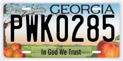 GA license plate PWK0285
