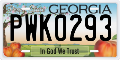 GA license plate PWK0293