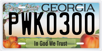 GA license plate PWK0300