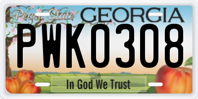 GA license plate PWK0308