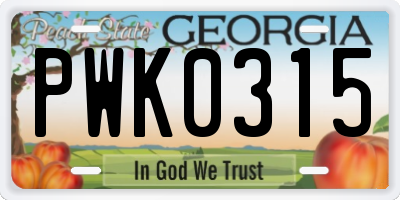 GA license plate PWK0315