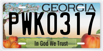 GA license plate PWK0317