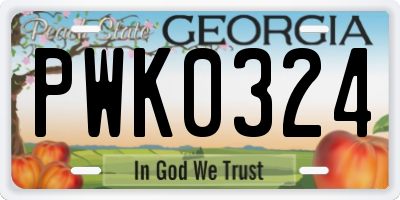 GA license plate PWK0324