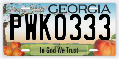 GA license plate PWK0333