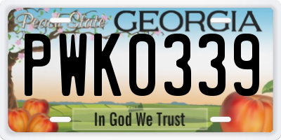 GA license plate PWK0339