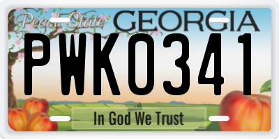 GA license plate PWK0341