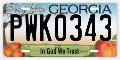 GA license plate PWK0343