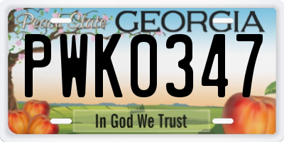 GA license plate PWK0347