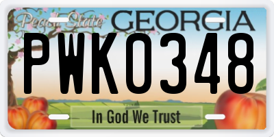 GA license plate PWK0348