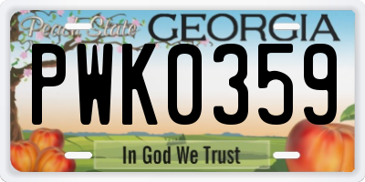 GA license plate PWK0359